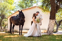 Φωτογράφος Γάμου Light And Motion 