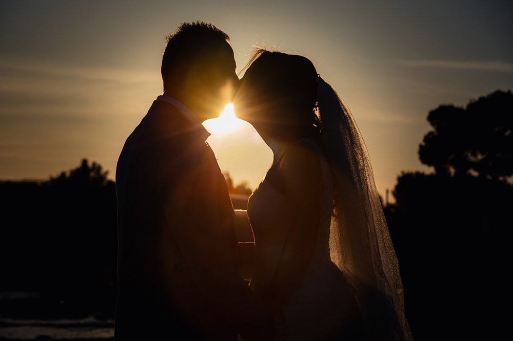 Light And Motion   portfolio