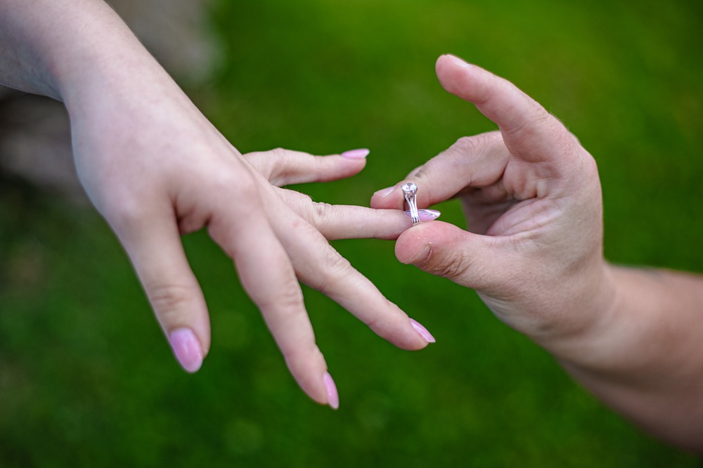 Light And Motion   portfolio