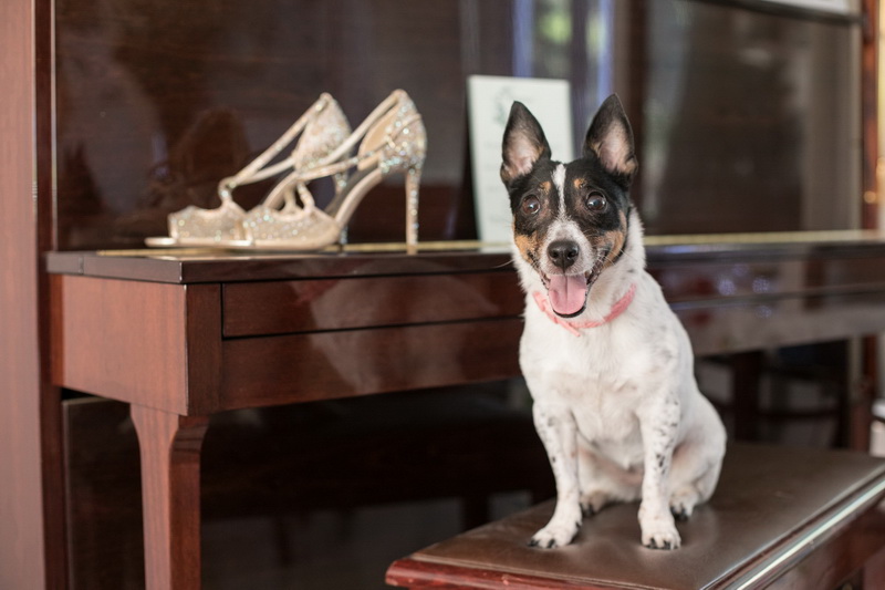 Kostas Apostolidis Photography   portfolio