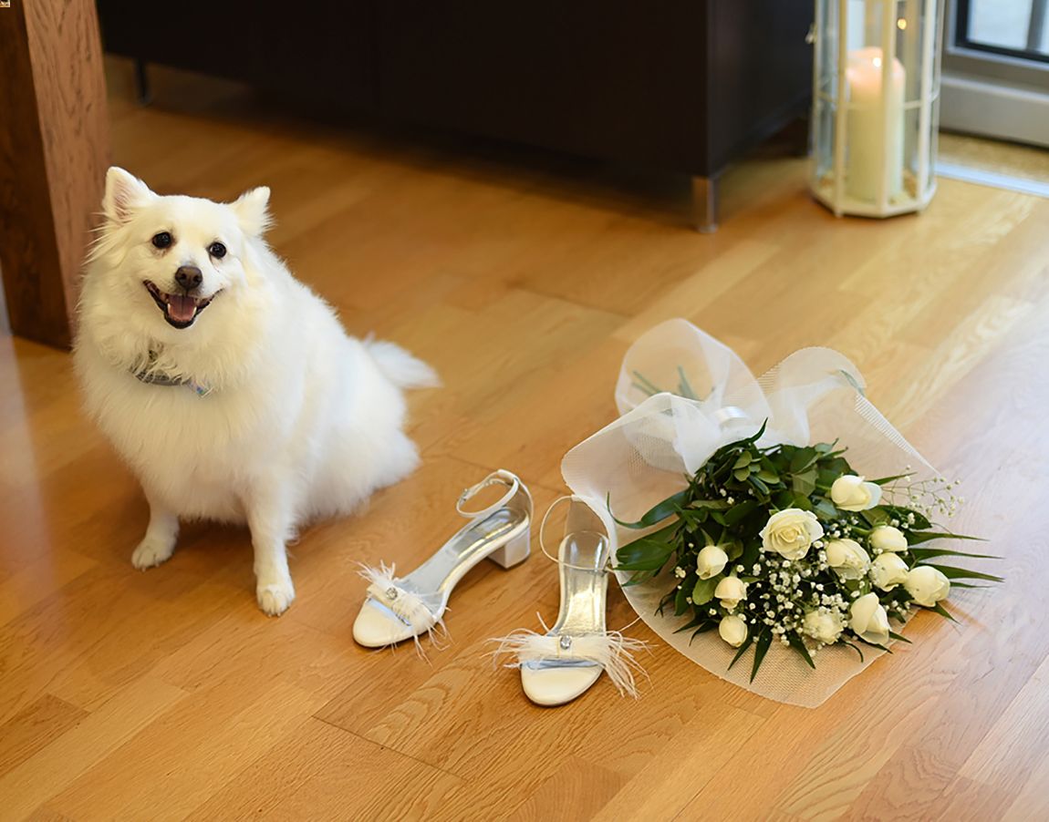 Βασίλης & Κατερίνα - Αμπελόκηποι : Real Wedding by Tripsanis Photography Est1974
